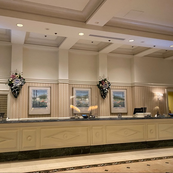 Meet your Posher, Susie - Picture 6 of 16